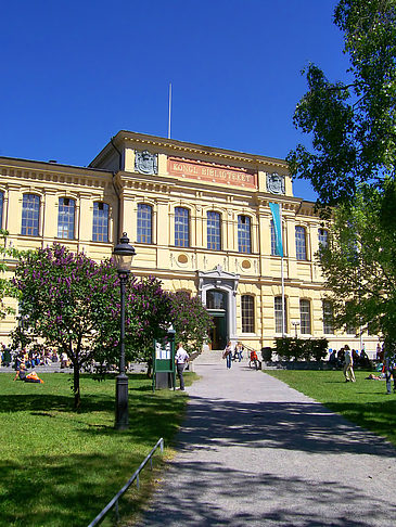 Kurzinfo Stockholm